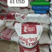 Contenedores de harina 45 Kg - Img 45594593