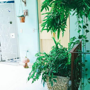 🏘Renta apartamento en Lealtad, La Habana | Wi‑Fi, EcoFlow y disponibilidad en octubre - 4/7