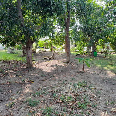 CASA FINCA EN VENTA - 8/10