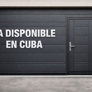 PUERTA DE GARAGE CON PASO PEATONAL Y SIN PASO PEATONAL CON SU MOTOR 👀58080802 - Img 117052616