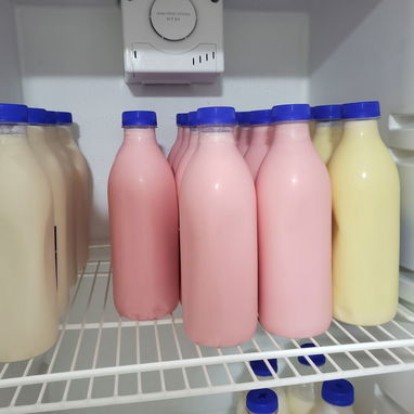 YOGURT PROBIOTICO  SIN AZUCAR - 2/2