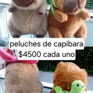 Peluches - Img 52486153