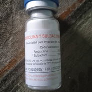 Amoxicilina sulbactam - Img 56544132