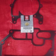 Se vende - Img 56061249