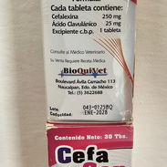 Cefalexina para perros - Img 50968318
