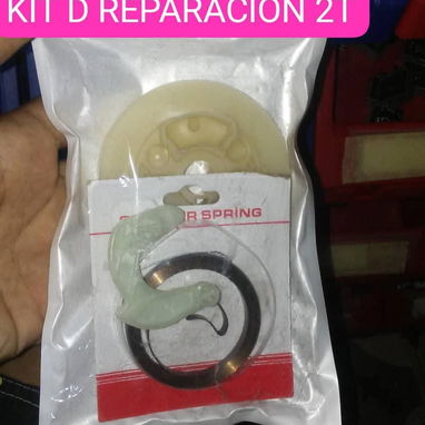 Reparación de planta 2t - Img 113557683