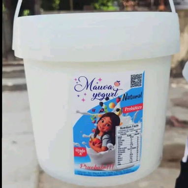 YOGURT PROBIÓTICOS 4/L DE CUAGULO - 3/3