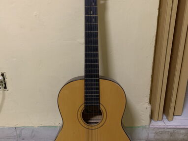 Guitarra Pearl River - Img 66270772