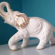 HERMOSO ELEFANTE BLANCO!!! - Img 55500880