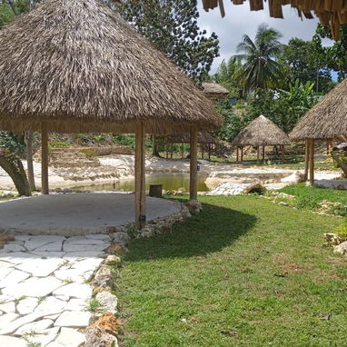 Todo en jardinería y paisajismo - 3/8