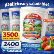 Yogurt Probiótico Jercey 160 Importado de 4 lts - Img 56351619