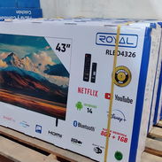 TV Royal - Img 56148587