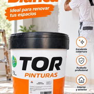 🎨 PINTURA VINIL ACRÍLICA BLANCA 15L – CUBRE MÁS CON MENOS MANOS - Img 58193586