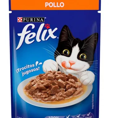 Comidas húmedas para y gatos . - Img 55436245