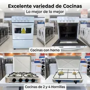 Cocina de Horno y Cocina de Gas de 4 y 2 hornillas - Img 54823946