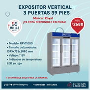 Expositor vertical  3 puertas 39 pies - Img 45590150