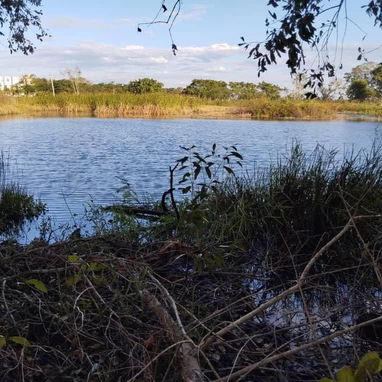 FOR SALE | 2-HECTARE FREEHOLD PROPERTY | HAVANA, CUBA - Img 125694193