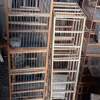 Jaulas para criar Isabelitas y canarios 2500 por todas - 2/3