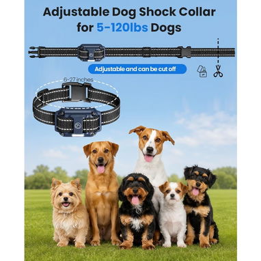 Pack de 2 Collares de Entrenamiento para Perros - 3/4