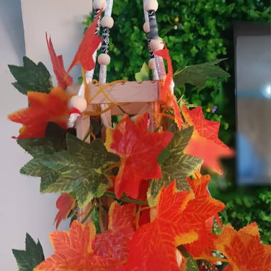 Bucaros hermoso - 5/10