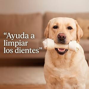 Hueso de carnasa - 2/2