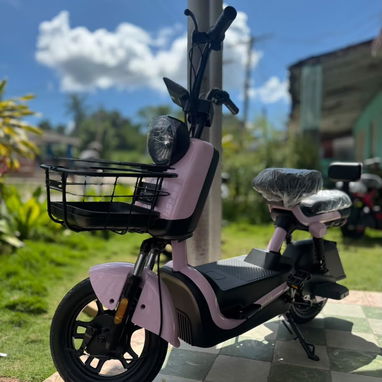 MOTICO PROEFIX 2026 - 6/6