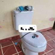 Tasas de baño - Img 58383183