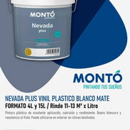 PINTURAS MONTÓ - Img 54799301