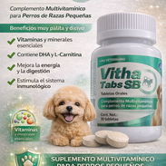 Multivitaminas y minerales para perros de taza pequeña - Img 56280168