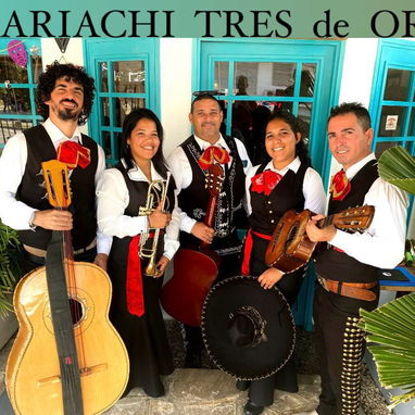 Mariachis para mamá - Img 121184503