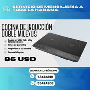 ESTUFA DE INDUCCIÓN DOBLE MILEXUS - Img 56402330