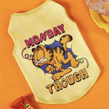Ropa para perros - 8/10