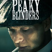 PEAKY BLINDERS SERIE COMPLETA DISPONIBLE EN 1080p DUAL AUDIO(ESPAÑOL/INGLÉS), 80 GB, MENSAJERÍA GRATIS, 58432535 - Img 44245757