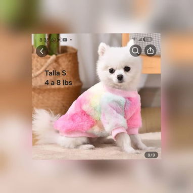 Ropa para Mascota - Img 115001111