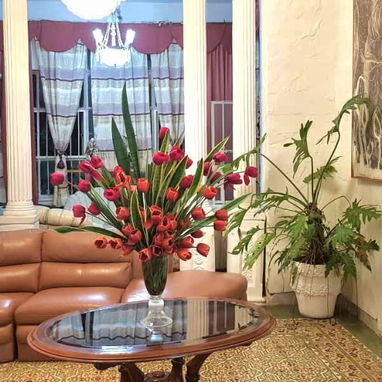 HOSTAL EN VEDADO - Img 116093698