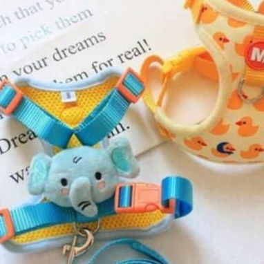 Paseo y Seguridad para mascotas - 4/10
