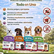 🌟Pastillas Simparica Trío para perros, matan todos los parásitos instestinales, gusano del corazón, pulgas y garrapatas - Img 54441402