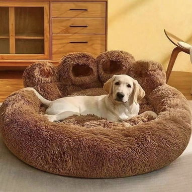 Camas para perros - Img 125237724