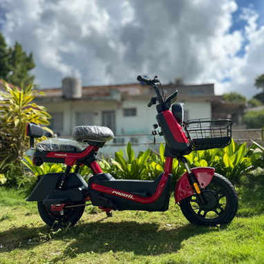 𝐏𝐀𝐓𝐈𝐍𝐄𝐓𝐀 eléctrica PROEFIX 🛵` Formas de pago 𝙐𝙎𝘿, 𝙀𝙐𝙍, 𝙕𝙀𝙇𝙇𝙀 / 48v - 20 ah • ⁠batería de GEL - 7/9