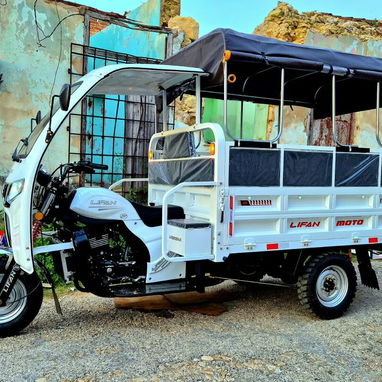 Triciclo de combustión Lifan 250cc de carga y paseo - 5/7