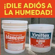 Variedades de pinturas - Img 54842659