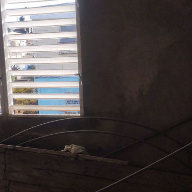 Venta de casa - 6/10