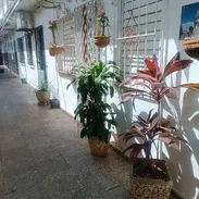 Renta Lineal o por noches en Playa por 84y17 180 usd mensual 53582376 - Img 55557467