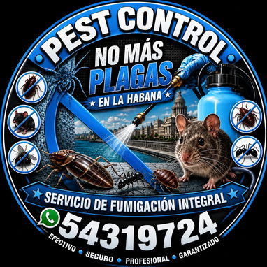 FUMIGACION PARA CHINCHES DE CAMA EN LA HABANA - 2/3