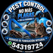 Pest Control. Servicio de Fumigación eliminamos Chinchas y más . - Img 57115053