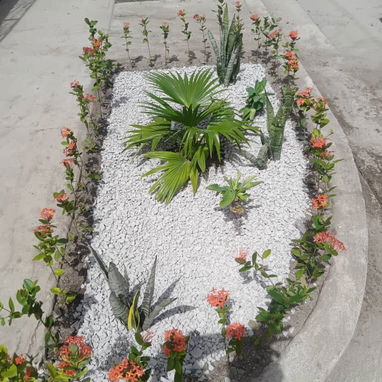 Servicio de jardinería 👩🏼‍🌾 - Img 123421460
