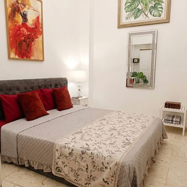🏤⚡️Apartamento de renta de lujo en la Habana Vieja con respaldo energético🔥/House for rent/Rent an appartement - 9/9