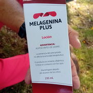 Melangelina - Img 57136848