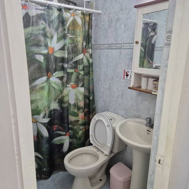 SE VENDE APARTAMENTO EN NUEVO VEDADO PLANTA BAJA ENTRADA INDEPENDIENTE CON GARAJE... - Img 121956934