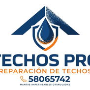 Eliminación de filtraciones con mantas asfarticas granuladas - Img 58134631
